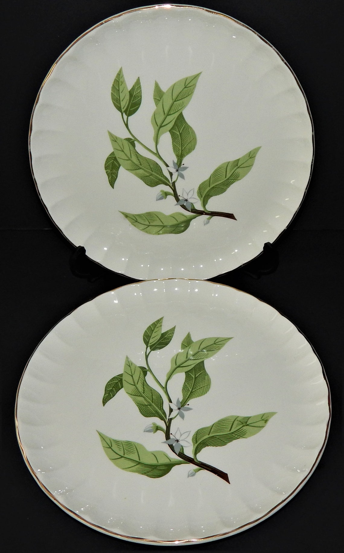2 WS B8760 Dinner Plates Fine China Bolero Green Leaves Etsy