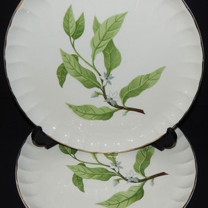 2 WS George B8760 Dinner Plates Fine China Bolero Green Leaves White Flowers