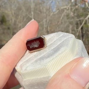 Pu&ograve; includere: Un piccolo anello rettangolare d'oro con una pietra rosso scuro. La pietra presenta un'immagine bianca scolpita di una figura. L'anello &egrave; tenuto su una superficie di velluto bianco, con uno sfondo sfocato all'aperto.