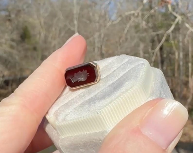 Pu&ograve; includere: Un piccolo anello rettangolare d'oro con una pietra rosso scuro. La pietra presenta un'immagine bianca scolpita di una figura. L'anello &egrave; tenuto su una superficie di velluto bianco, con uno sfondo sfocato all'aperto.