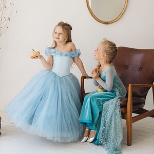 Peach Costume Girls Princess Dress Costume - Tulle Mesh Puff