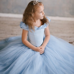 Halloween princess tulle dress Princess dress Cosplay cinderella dress Cinderella  Birthday toddler party dress lue tutu girls party dress
