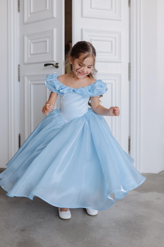 blue short princess dress Cinderella Tulle Birthday Toddler Party Dress Tutu Girls Party Dress Halloween Princess Dress Cosplay Cinderella Dress classic summer staple COLOR_849_ROSEWATER Am i right or Size:18 1/2 x 35