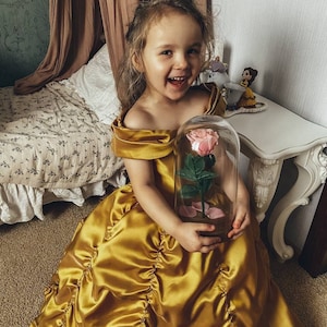 Halloween princess dress Beauity and the beast girl dress Bell princess satin dress Birthday toddler party dress Girls princess party dress