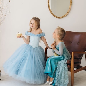 Cinderella princess tulle dress Birthday toddler party dress Blue tutu girls party dress Halloween princess dress Cosplay cinderella dress