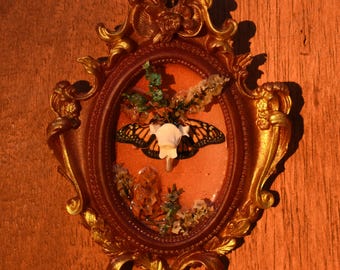Small Ornate Framed Vertebrae Bone Faux Monarch Butterfly - Floral - Gothic - Victorian - Red Gold Accent