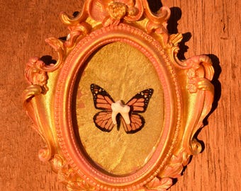 Tooth Fairy Small Ornate Frame – Real Coyote Tooth & Monarch Butterfly Art