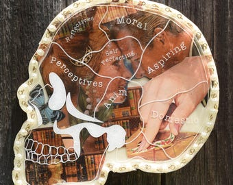 Vintage 1966 Playboy Resin Phrenology Head – Collage Sculpture with Pearl Border – Ephemera Art Object