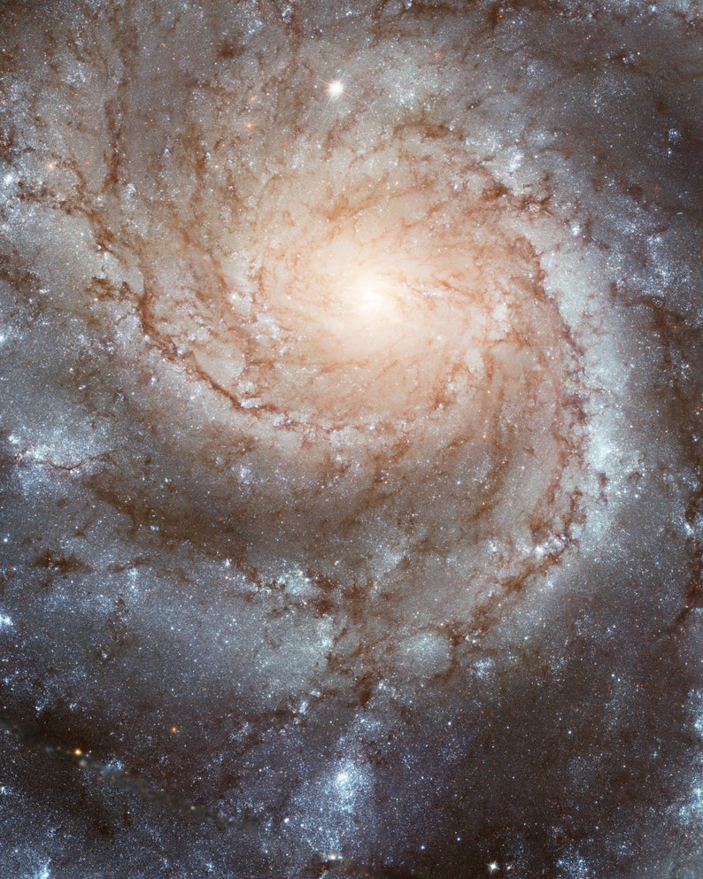 Galaxy Print / Hubble Telescope Poster / Space Art / Andromeda Etsy