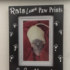 Rat Paw Prints 4x6  Picture Frame