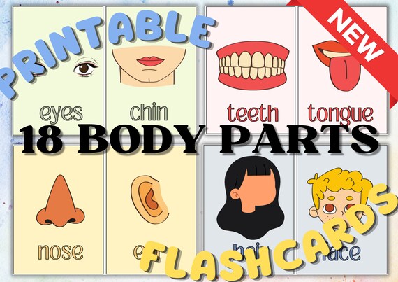 Yo-Yee Flashcards - Body Aches Picture Flash Cards For Preschoolers, Toddlers, Kids And Adults With Teaching Activities And Games