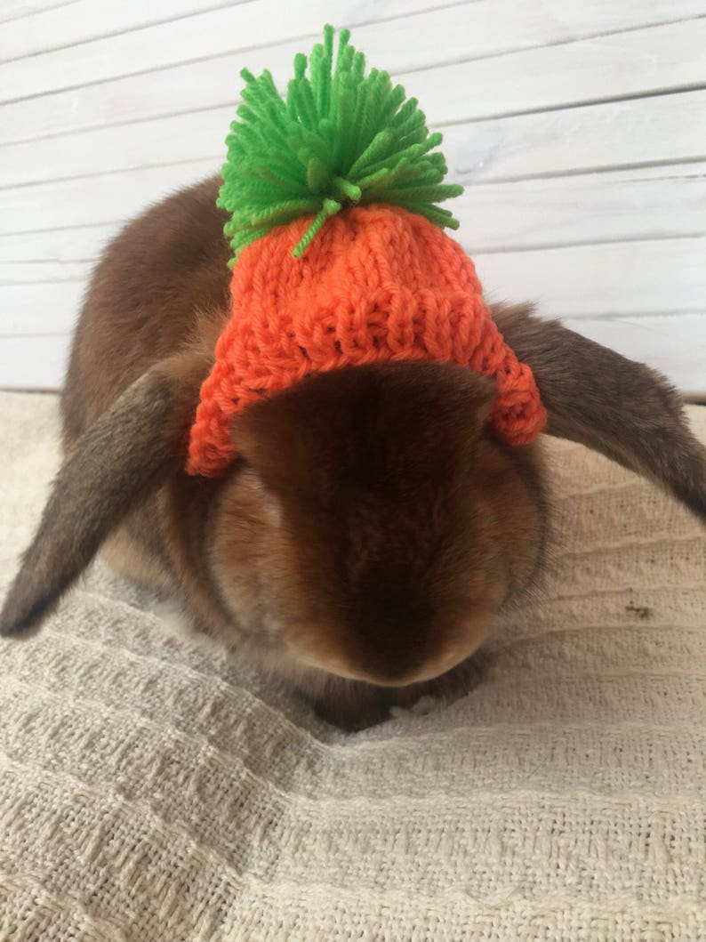 KNITTING Pattern for Rabbit pet hat Etsy
