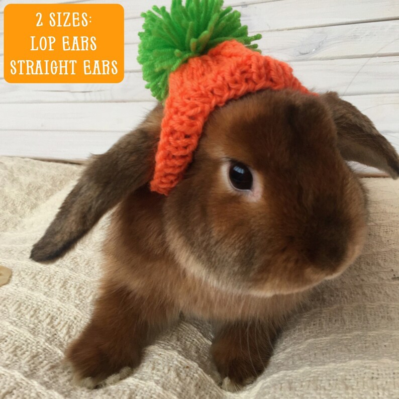Bestseller Carrot hat for rabbit pet Bunny clothes Etsy
