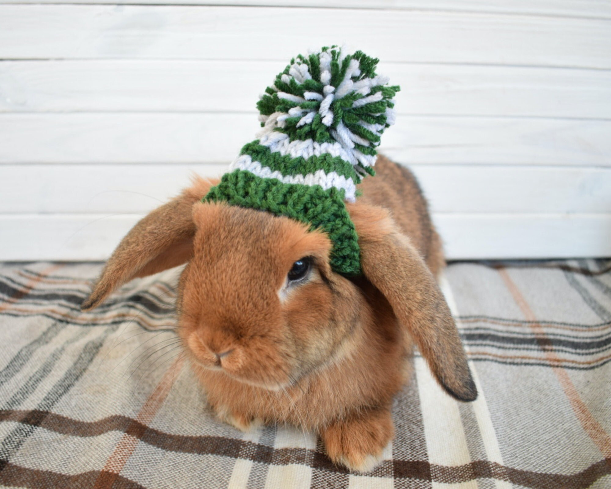 Pawgwarts Houses hats for a rabbit pet Rabbit clothes Etsy