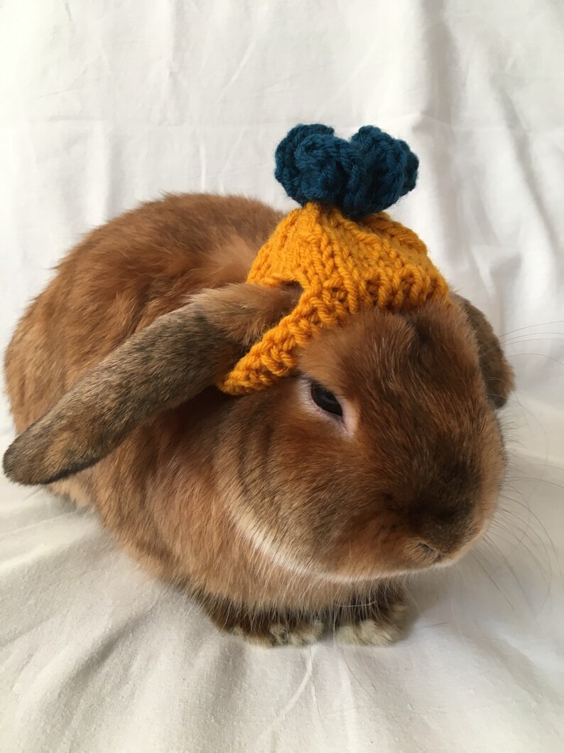 Musturd pear hat for rabbit pet Bunny clothes Etsy