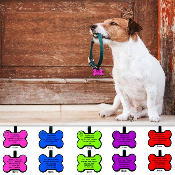Medizinische Hundemarke Hundemarke personalisiert für Haustiere mit Epilepsie, Krampfanfällen und verschiedenen medizinischen Bedingungen.