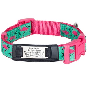 Engraved Pet ID Tag: Velcro Collar Attachment, Stainless Steel