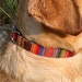 see more listings in the DOG COLLARS section
