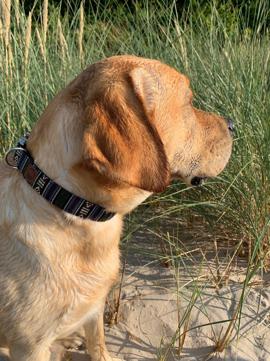 GORGECRAFT 4.6m Besticktes Spitzenband Mit Sternen & Blumen - 2cm Breite Für Nähen & Basteln