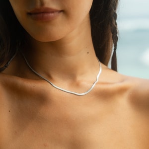 May include: A silver chain necklace on a person's neck. The chain is thin and delicate, and it is made of a smooth metal.