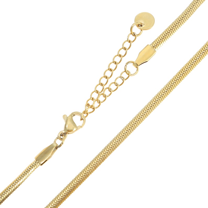 May include: A gold snake chain necklace with a lobster clasp and an extension chain. The chain is approximately 18 inches long.