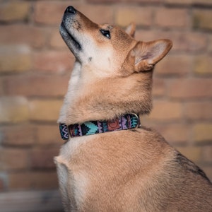 Handmade Boho Dog Collar Colorful wide collar for dogs made of woven nylon in different colors and 4 lengths for small and large dogs Roxo