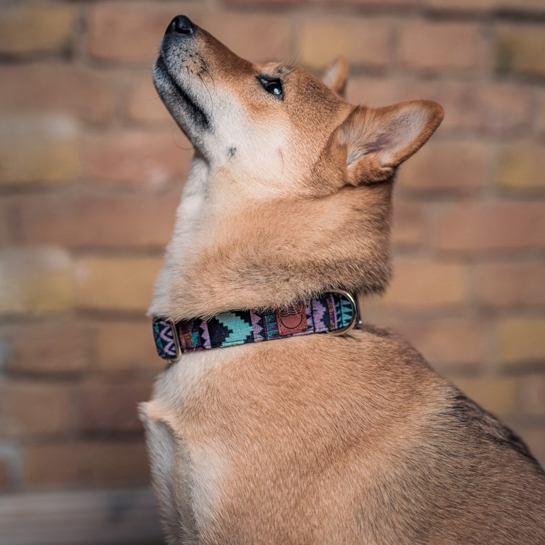Boho Hundehalsband Breit Buntes Halsband für Hunde aus gewebtem Nylon in 4 verschiedenen Längen Für kleine und große Hunde Bild 8