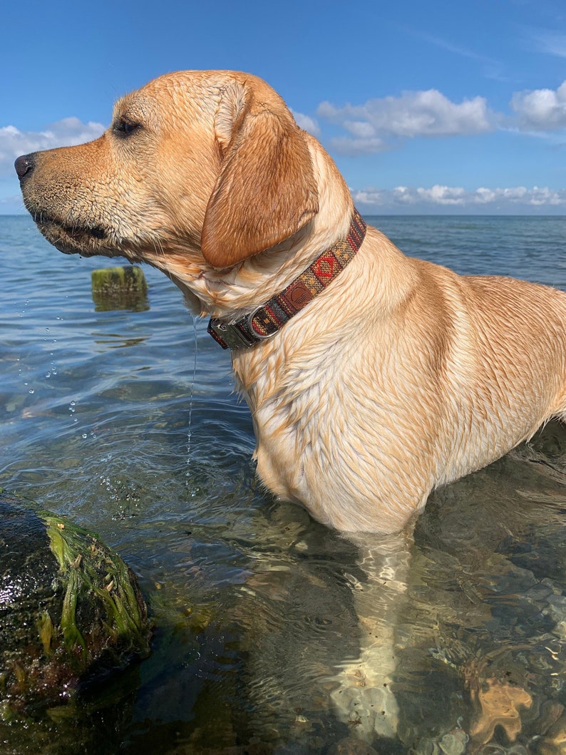 Boho Hundehalsband Breit Buntes Halsband für Hunde aus gewebtem Nylon in 4 verschiedenen Längen Für kleine und große Hunde Bild 1