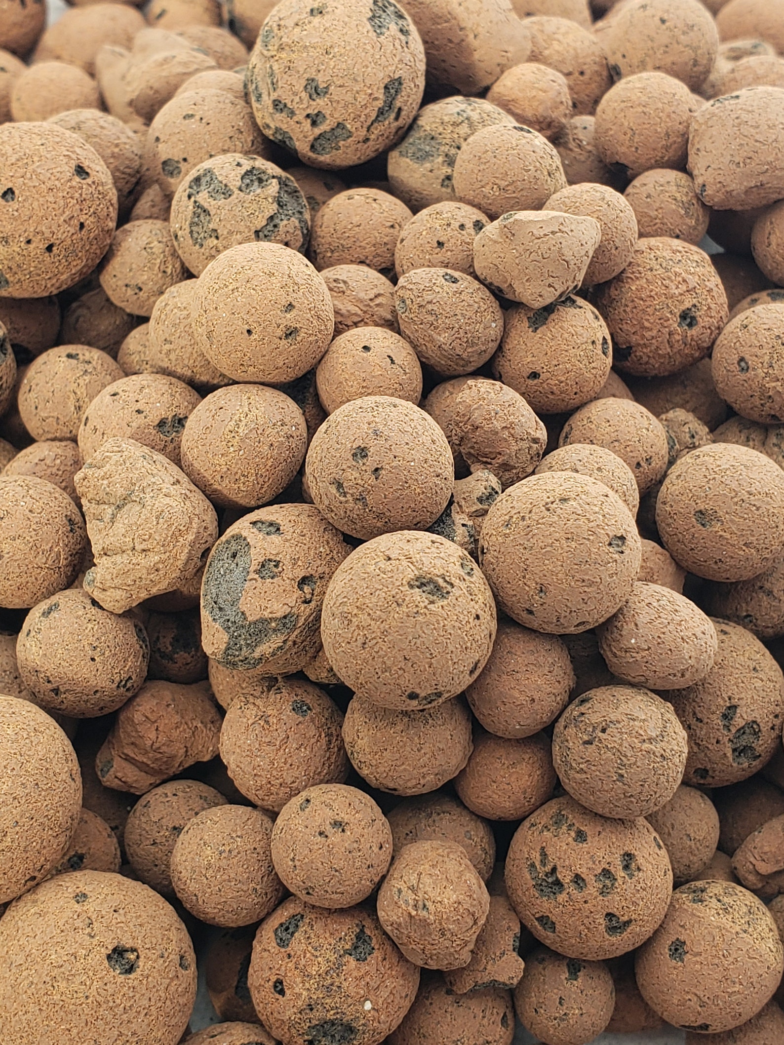 Expanded Clay Balls LECA Hydroponics Free Shipping Etsy