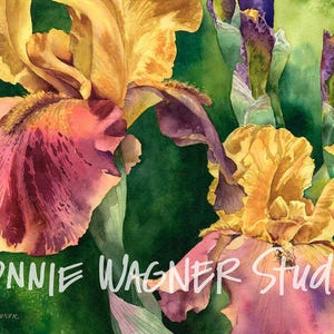 Irises Aglow floral watercolor painting giclee print by ConnieWagnerStudio