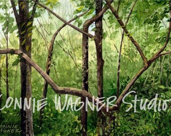 Trees at DePauw Nature Park watercolor painting giclee print by ConnieWagnerStudio