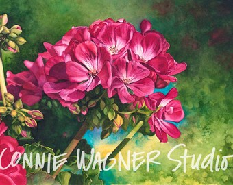 Powerful in Pink floral geranium watercolor painting giclee print by ConnieWagnerStudio