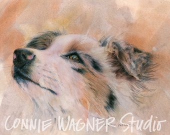 I See You, Australian Shepherd mixed media illustration by Connie Wagner