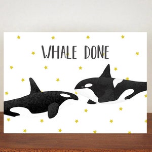 Carte orque baleine faite, carte A6, carte de félicitations, carte de félicitations, carte de bonne chance, félicitations et bonne chance 29