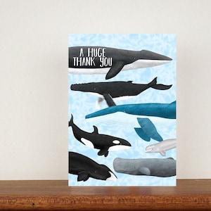 Whale Thank You Card: Illustrated A6 Greetings Card