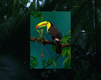 Toucan mini print / A5 (8.27x5.8 inches), by Vector That Fox