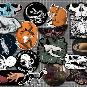Vinyl Stickers Dinosaurs Foxes Skulls Fossils Tigers Space: individual, illustrated vinyl die-cut stickers, by Vector That Fox image 1