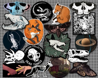 Vinyl Stickers | Dinosaurs | Foxes | Skulls | Fossils | Tigers | Space: individual, illustrated vinyl die-cut stickers, by Vector That Fox