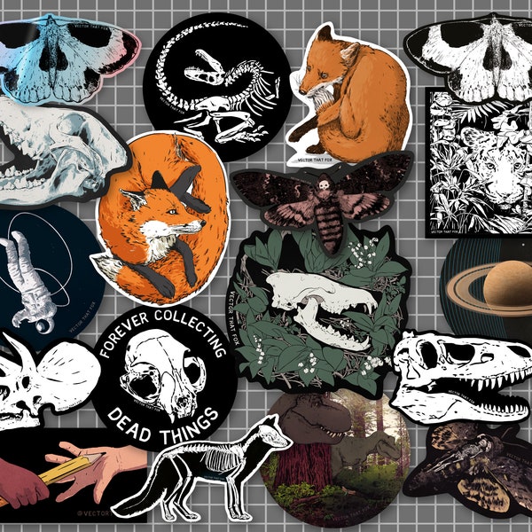 Vinyl Stickers | Dinosaurs | Foxes | Skulls | Fossils | Tigers | Space: individual, illustrated vinyl die-cut stickers, by Vector That Fox