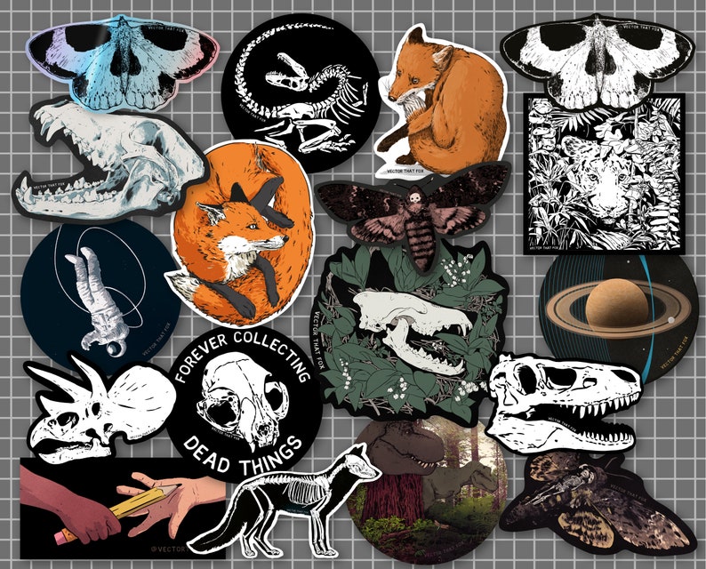 Vinyl Stickers Dinosaurs Foxes Skulls Fossils Tigers Space: individual, illustrated vinyl die-cut stickers, by Vector That Fox image 1