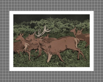 Richmond Park | A4 high-quality deer illustration art print on 300gsm white stock, by Vector That Fox