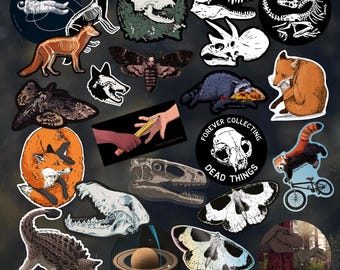 VINYL STICKERS - individual, illustrated vinyl die-cut stickers, by Vector That Fox