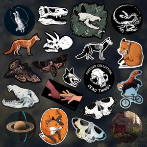 Adesivi in vinile / Dinosauri / Volpi / Teschi / Fossili / Tigri / Spazio: adesivi in vinile fustellati, illustrati e individuali, di Vector That Fox