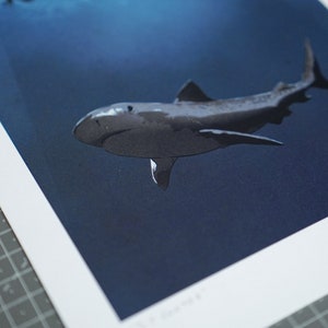 25 Footer A4 high-quality shark under a boat illustration art print on 300gsm white stock, by Vector That Fox image 3