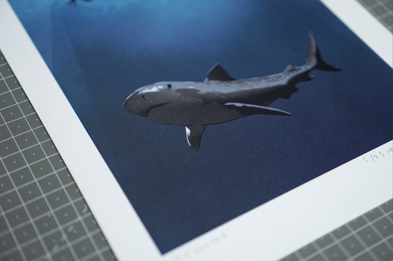 25 Footer A4 high-quality shark under a boat illustration art print on 300gsm white stock, by Vector That Fox image 3