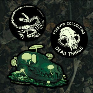 May include: Three black and white stickers with glow-in-the-dark designs. The first sticker features a dinosaur skeleton. The second sticker features a skull with the text "Forever Collecting Dead Things". The third sticker features a skull with mushrooms growing out of it.