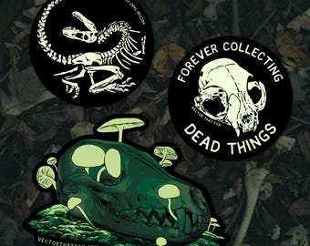 Glow in the Dark Vinyl Stickers (Limited edition) | Dinosaur Fossils | Skulls | Mushrooms: individual, die-cut stickers, by Vector That Fox
