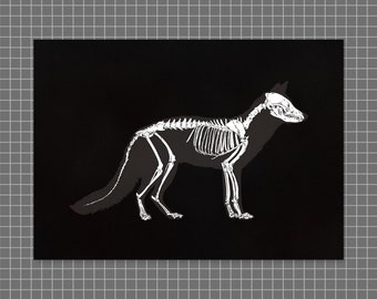 Fox bones | A4 high-quality fox skeleton illustration borderless art print onto 300gsm white stock, by Vector That Fox