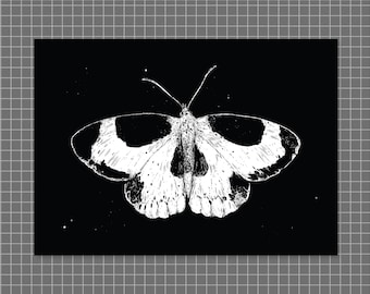 Morbid White | A4 high-quality butterfly/skull illustration borderless art print on 300gsm white stock, by Vector That Fox