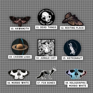 Vinyl Stickers Dinosaurs Foxes Skulls Fossils Tigers Space: individual, illustrated vinyl die-cut stickers, by Vector That Fox image 3